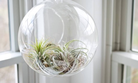 Why IAQ Is Important