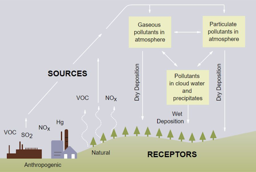 how acid rain work